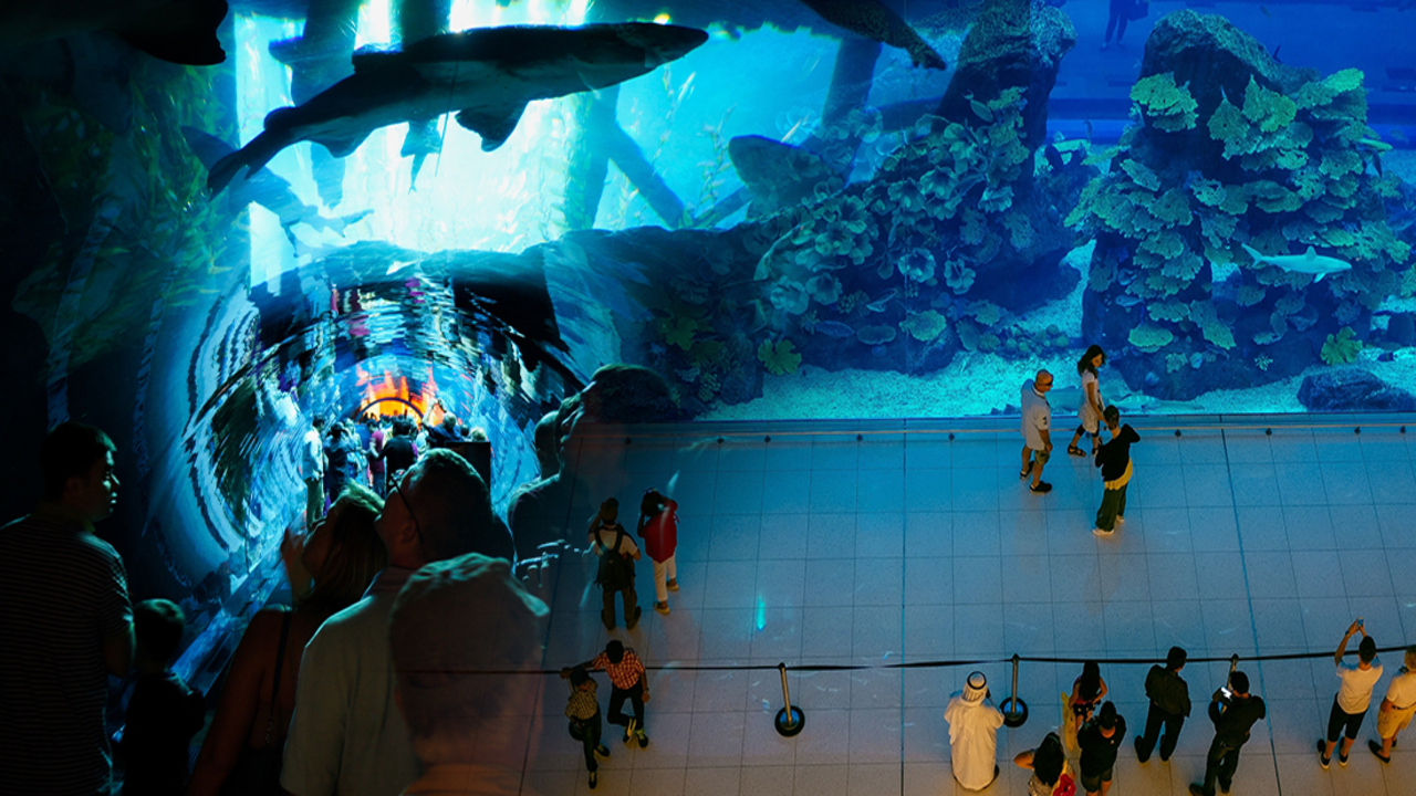 Private Half Day Dubai City Tour with Dubai Mall Shopping, Aquarium & Zoo, Burj Khalifa 148th floor & Musical Fountain Show Private Half Day Dubai City Tour with Dubai Mall Shopping, Aquarium & Zoo, Burj Khalifa 148th floor & Musical Fountain Show