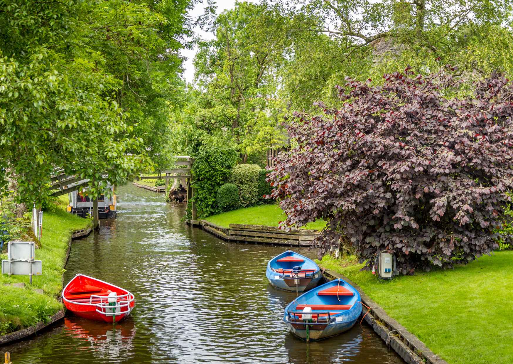 Giethoorn Guided Day Trip from Amsterdam with 1-hour Boat tour  - Photo 5