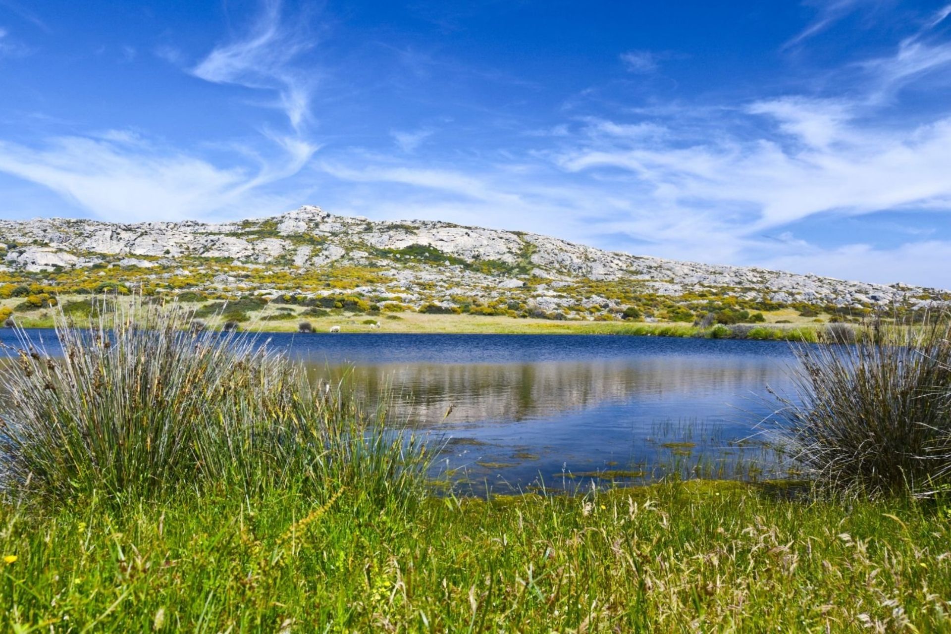 Rent an e-bike and discover Asinara from Porto Torres - Photo 6