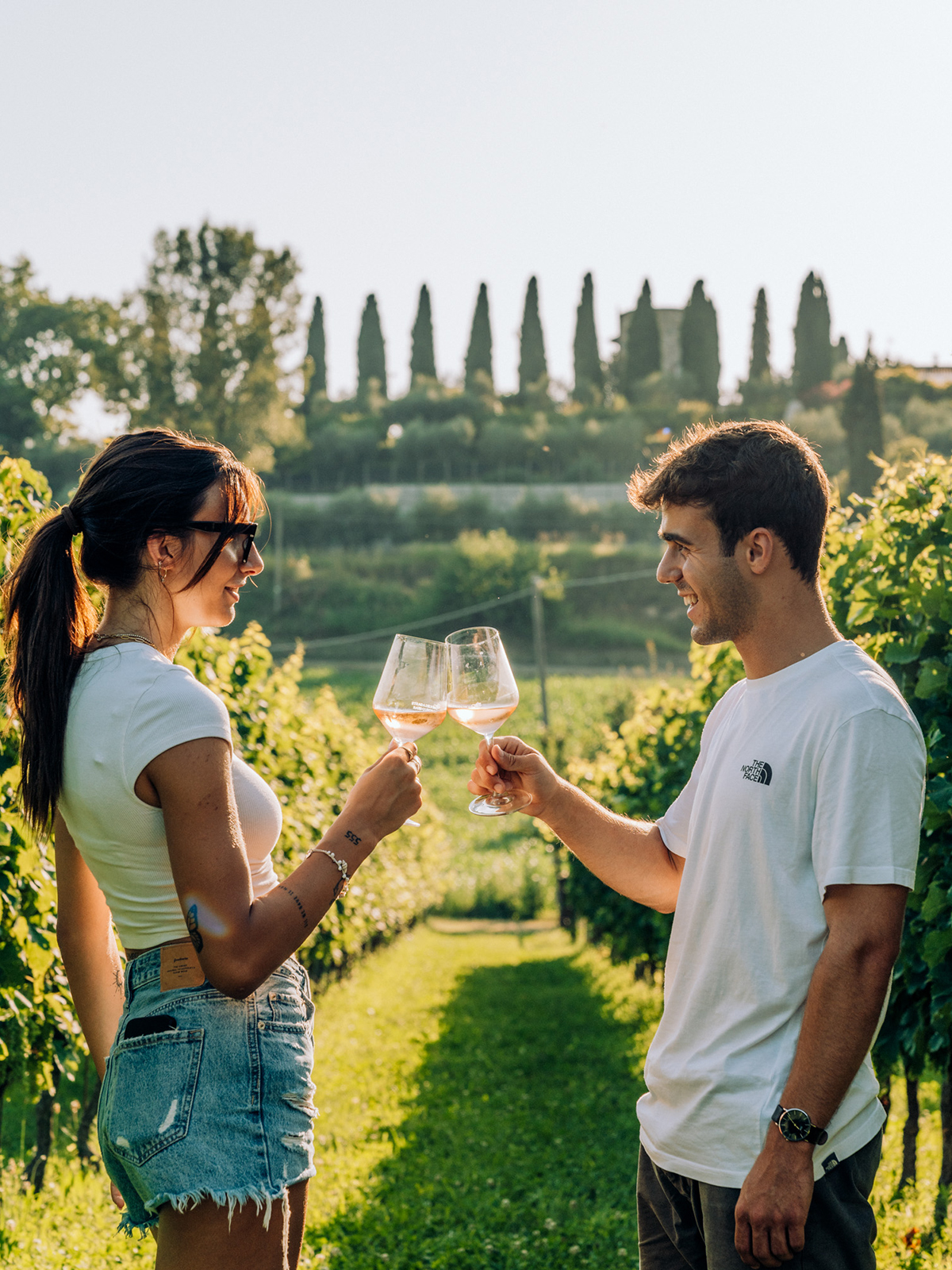 Wine and Food Tasting in the Vineyards - Photo 8