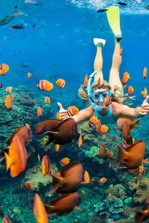 Excursión de un día para bucear en Sharm El Sheikh a la Isla Blanca y Ras Mohammed en barco VIP con traslado y almuerzo