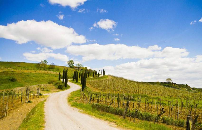 Chianti E-Bike from San Gimignano  - Photo 4