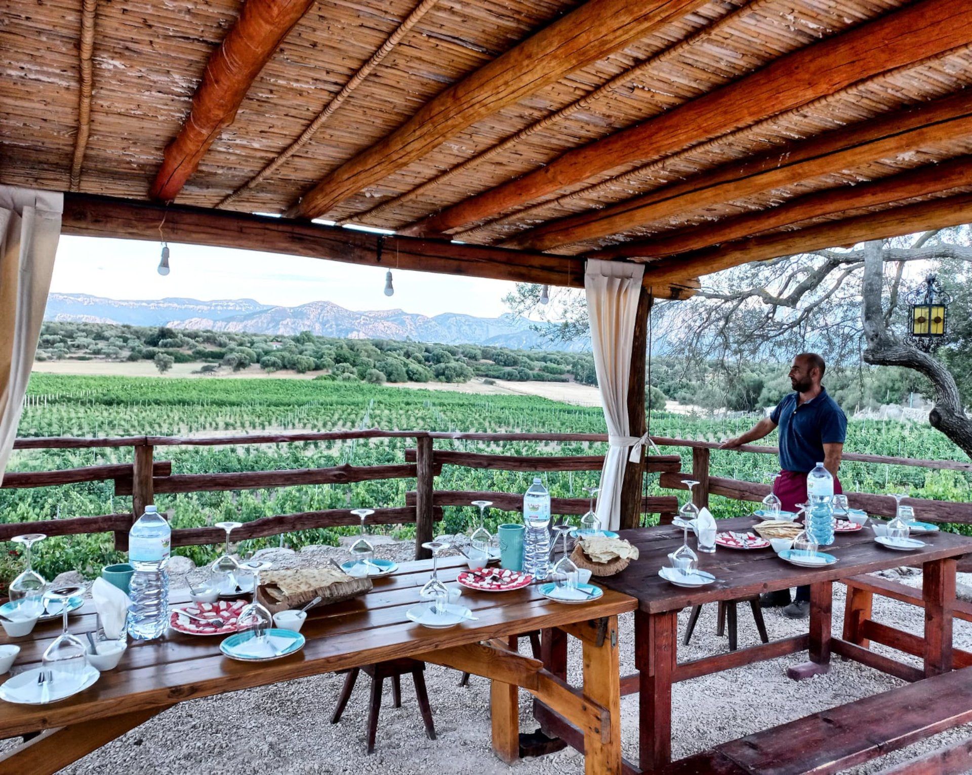 Dorgali: visit of a winery with tasting - Photo 6