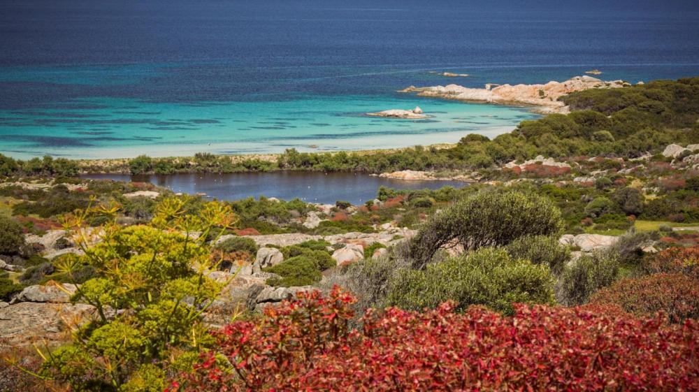 ASINARA ISLAND TOUR - Full Day (Off Road Tour in the National Park) - Photo 21