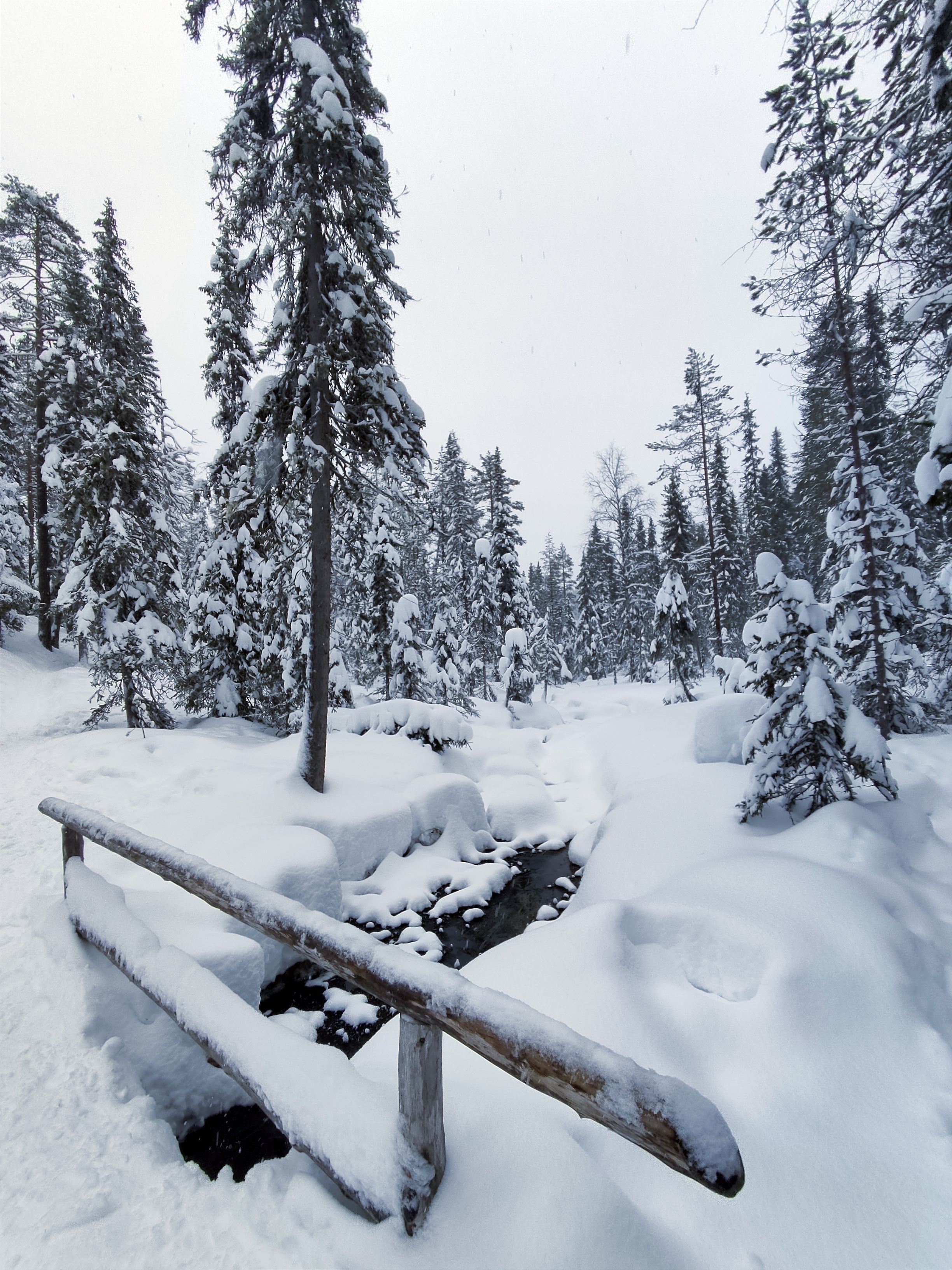 Excursión a las Cascadas Congeladas de Korouoma con Recogida en Grupo Reducido - Alojamientos en Rovaniemi