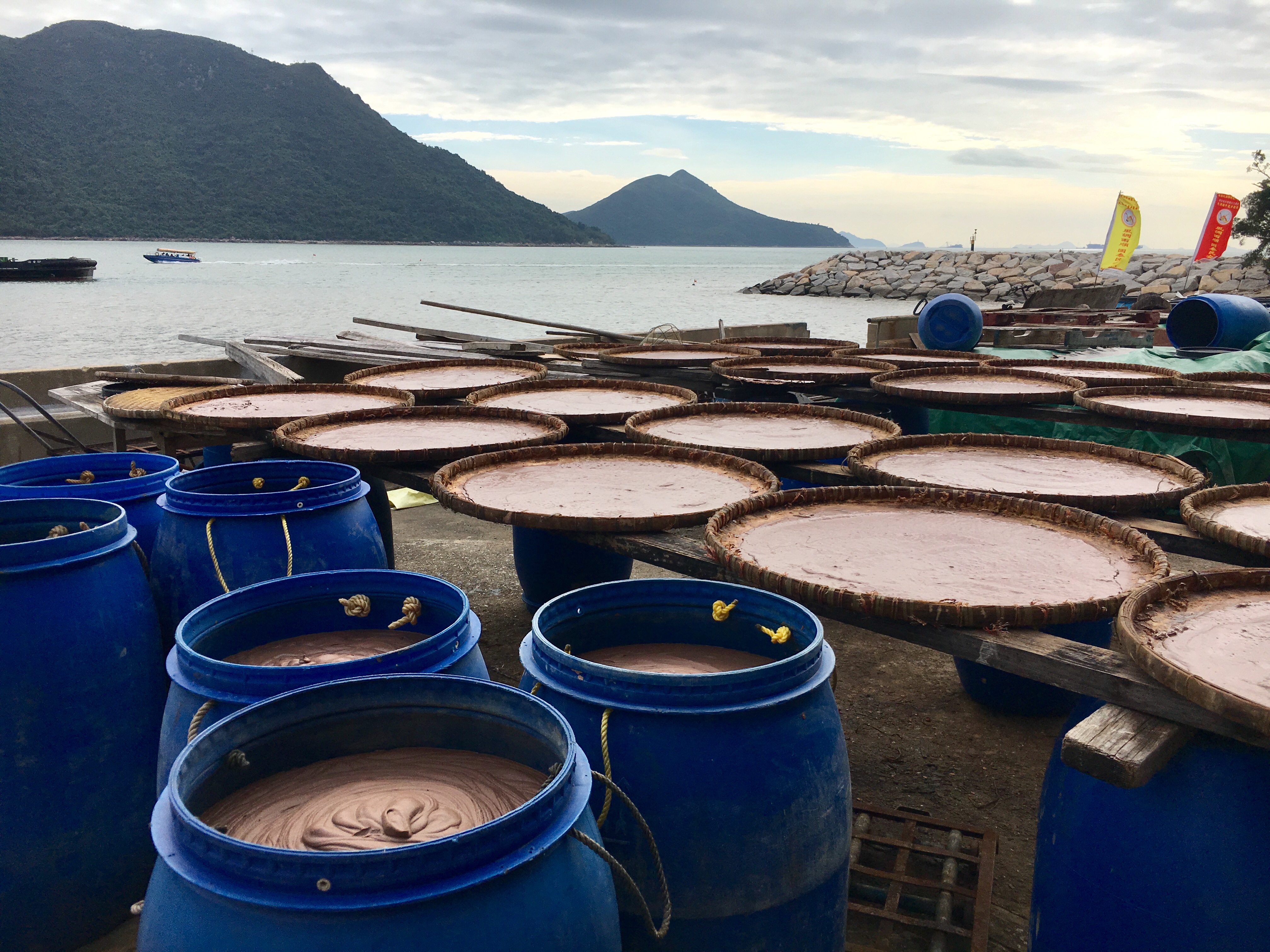 Cruise Layover Tour: Giant Buddha on Lantau Island in Private Service - Accommodations in Hong Kong