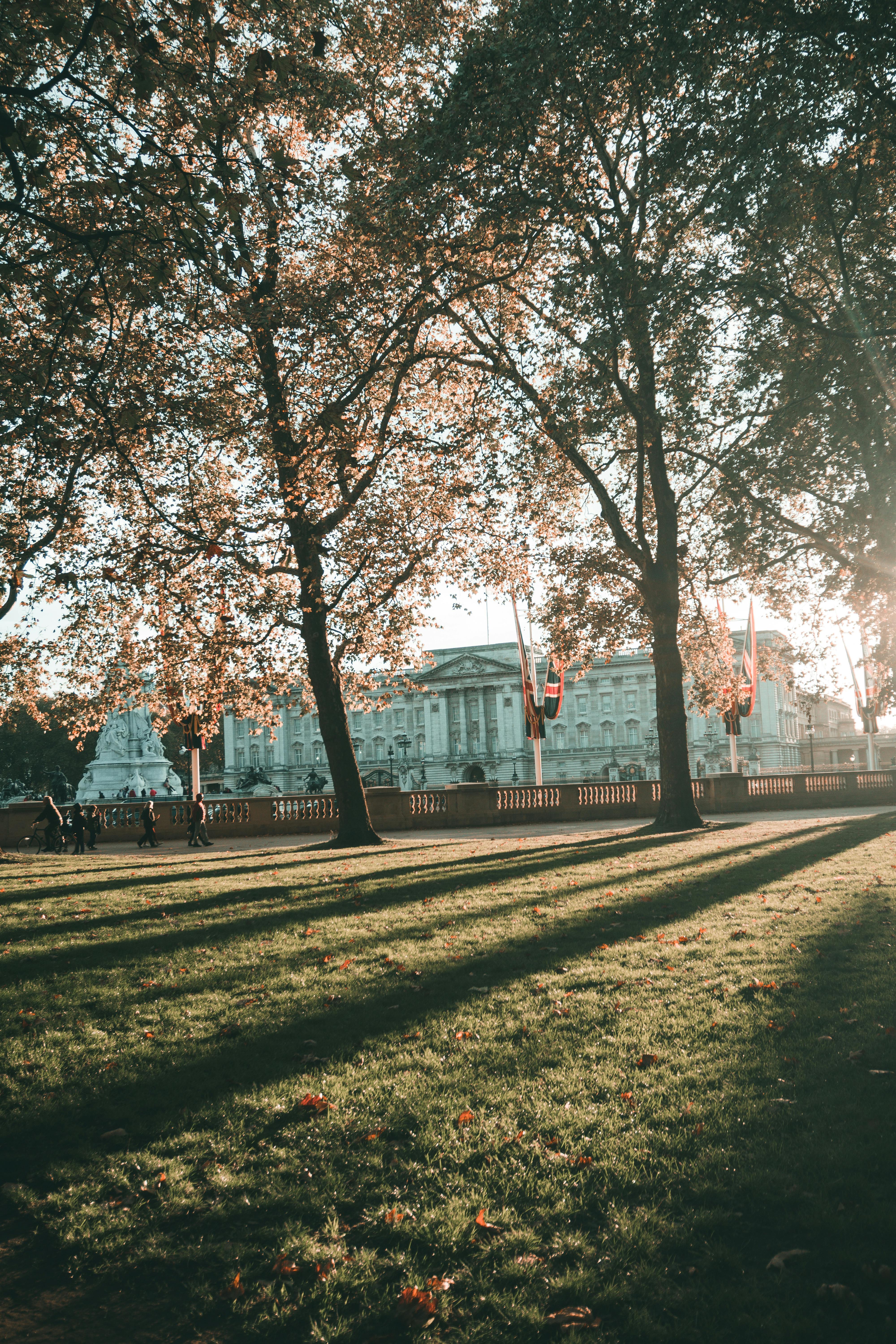 Royal London: Buckingham Palace & Westminster Guided Walking Tour – Image 4 | WeShare