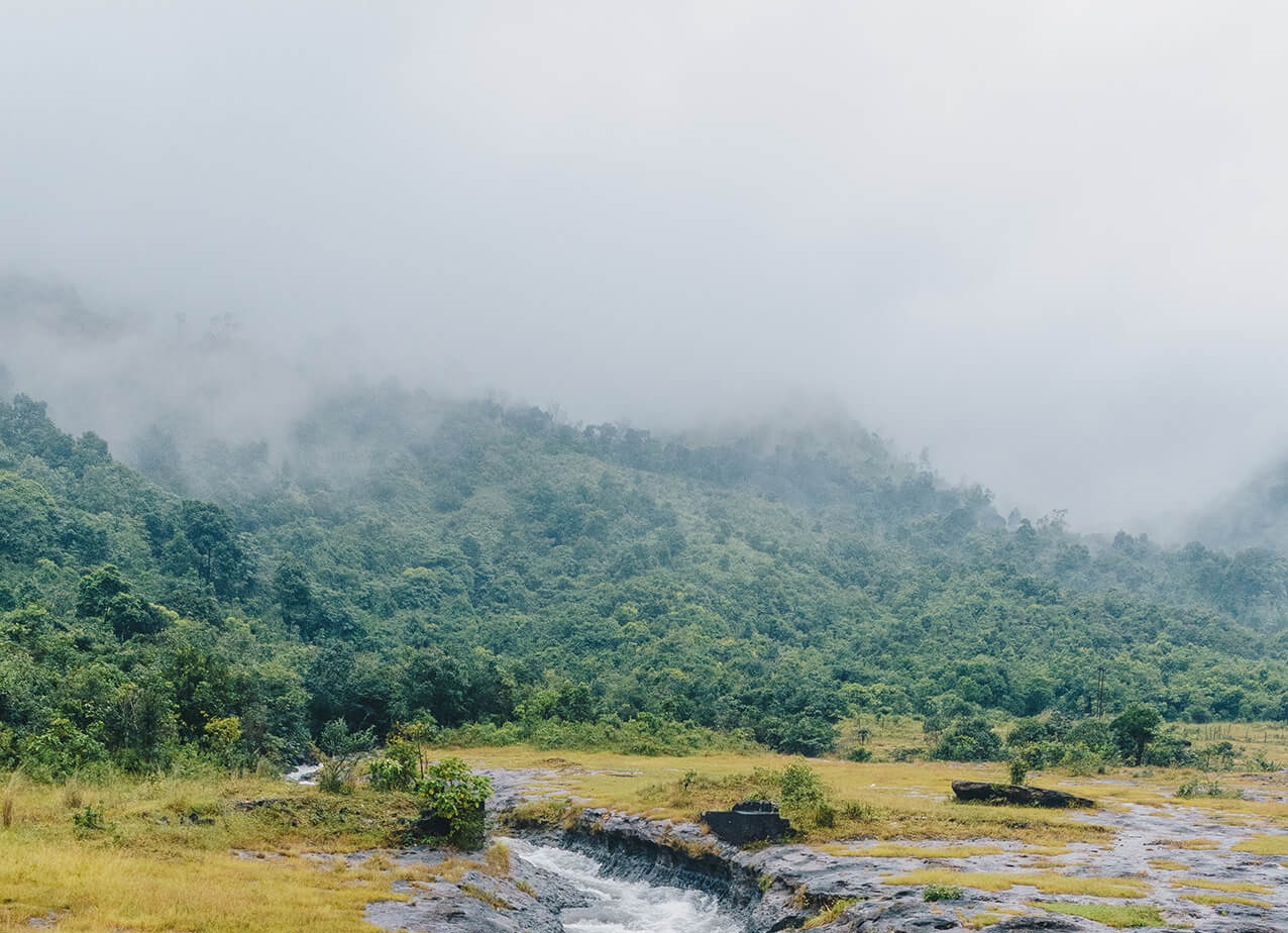 Lo mejor de Assam y Meghalaya: tour de 5 días por Guwahati y Shillong - Foto 5