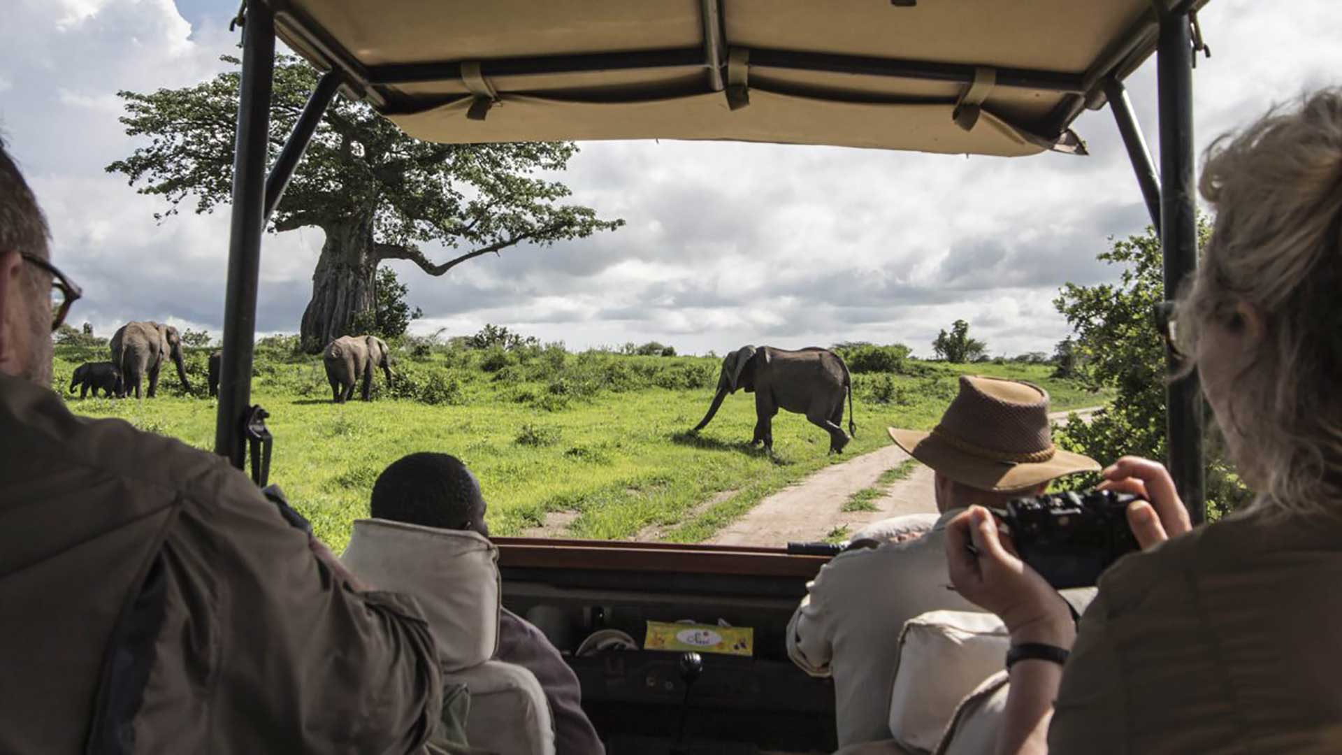 12 días de safari combinado de los cinco grandes en Kenia y Tanzania - Foto 4