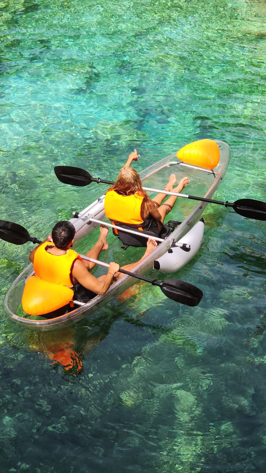 Casa Tortuga Silver – Experiencia en Cenotes