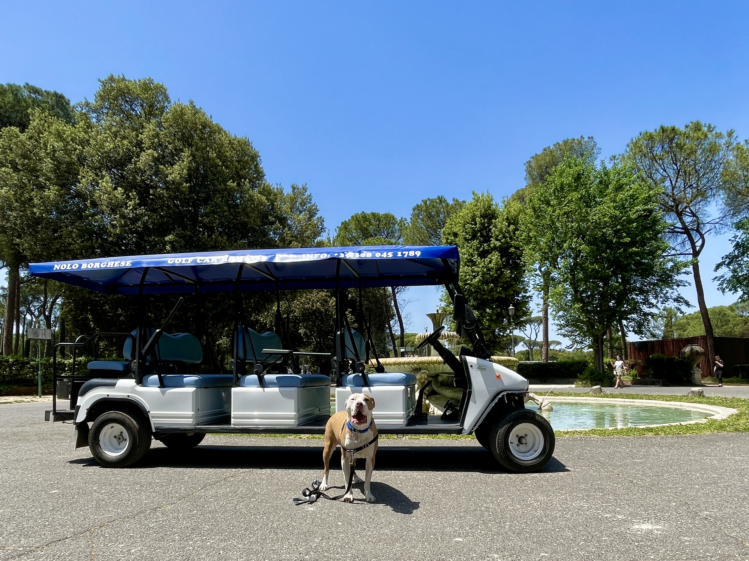 Rome Half Day: Private Golf Cart Adventure & Wine Tasting in an Ancient Cellar Rome Half Day: Private Golf Cart Adventure & Wine Tasting in an Ancient Cellar