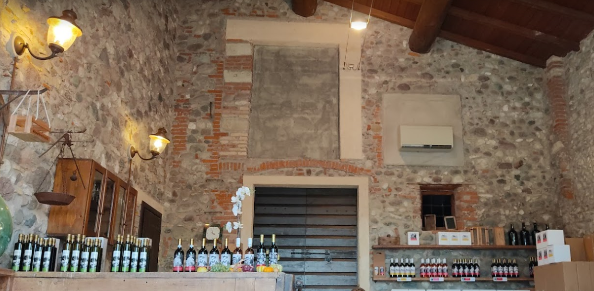 Vineyard tour and tasting of Garda Wines in Cavaion Veronese - Photo 14