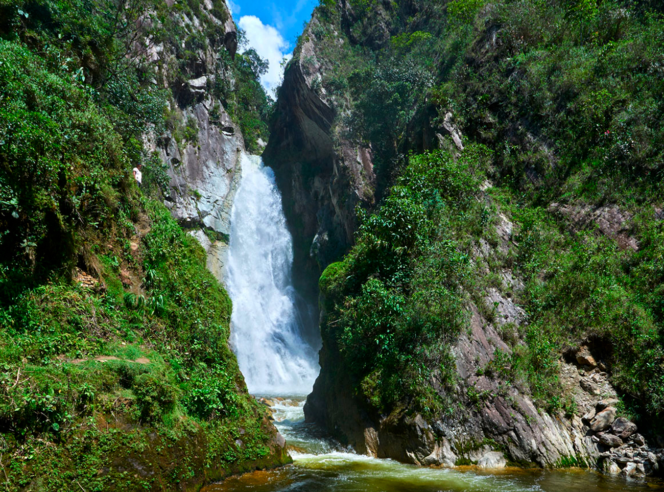 Oxa-02: Expedición Villa Rica - Cultura del Café y Descubrimiento de la Selva Tropical