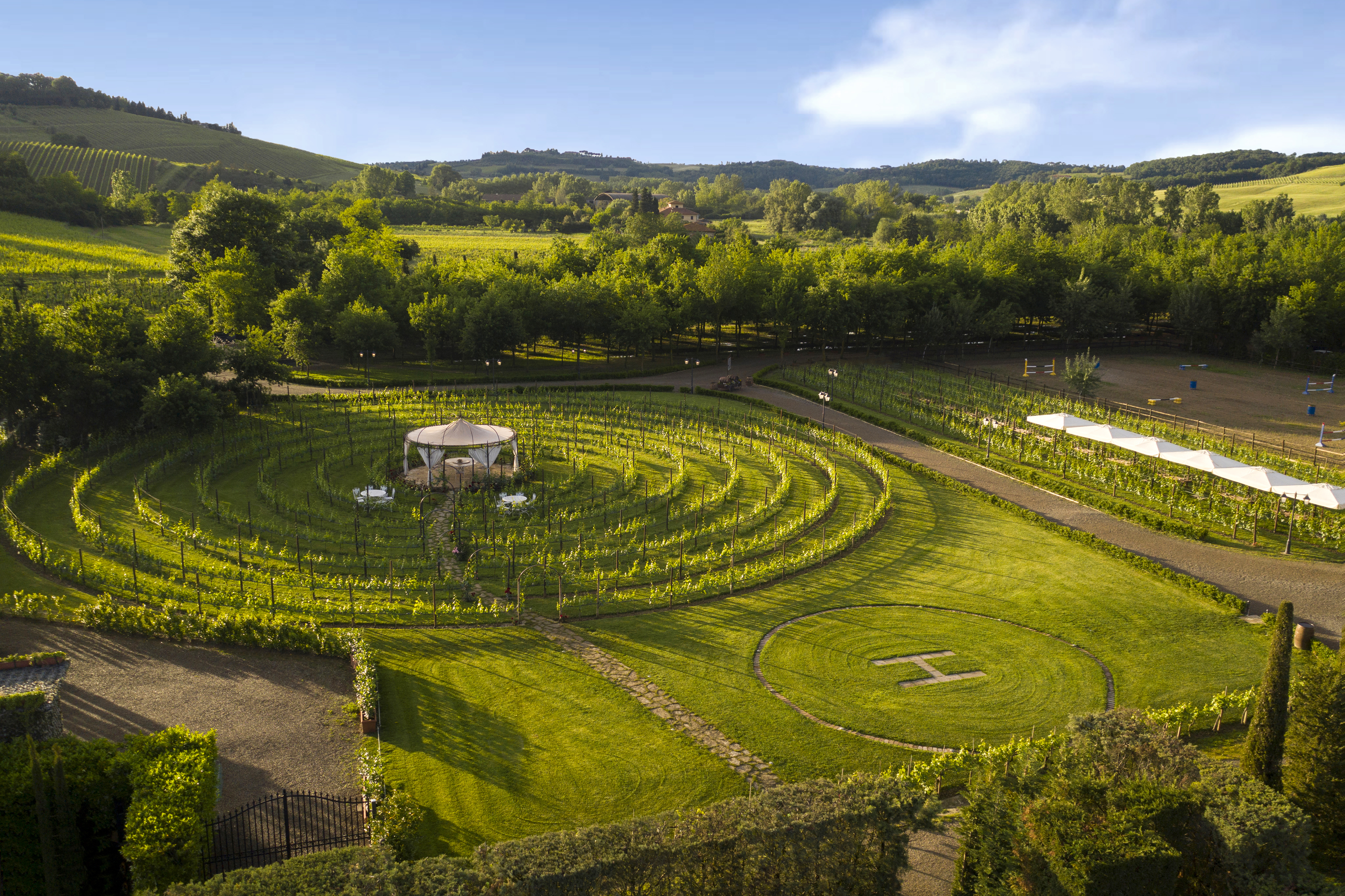 Vineyard Canopy Dinner & Wine Tasting in San Gimignano countryside - Photo 3
