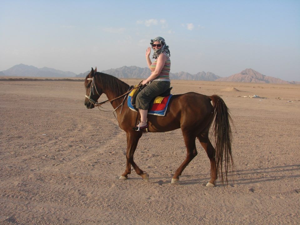 Paseos a caballo desde Sharm El Sheikh
