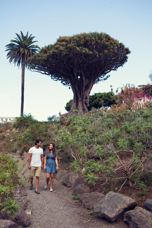 Excursion privada a Masca/Garachico/Icod - Photo 6