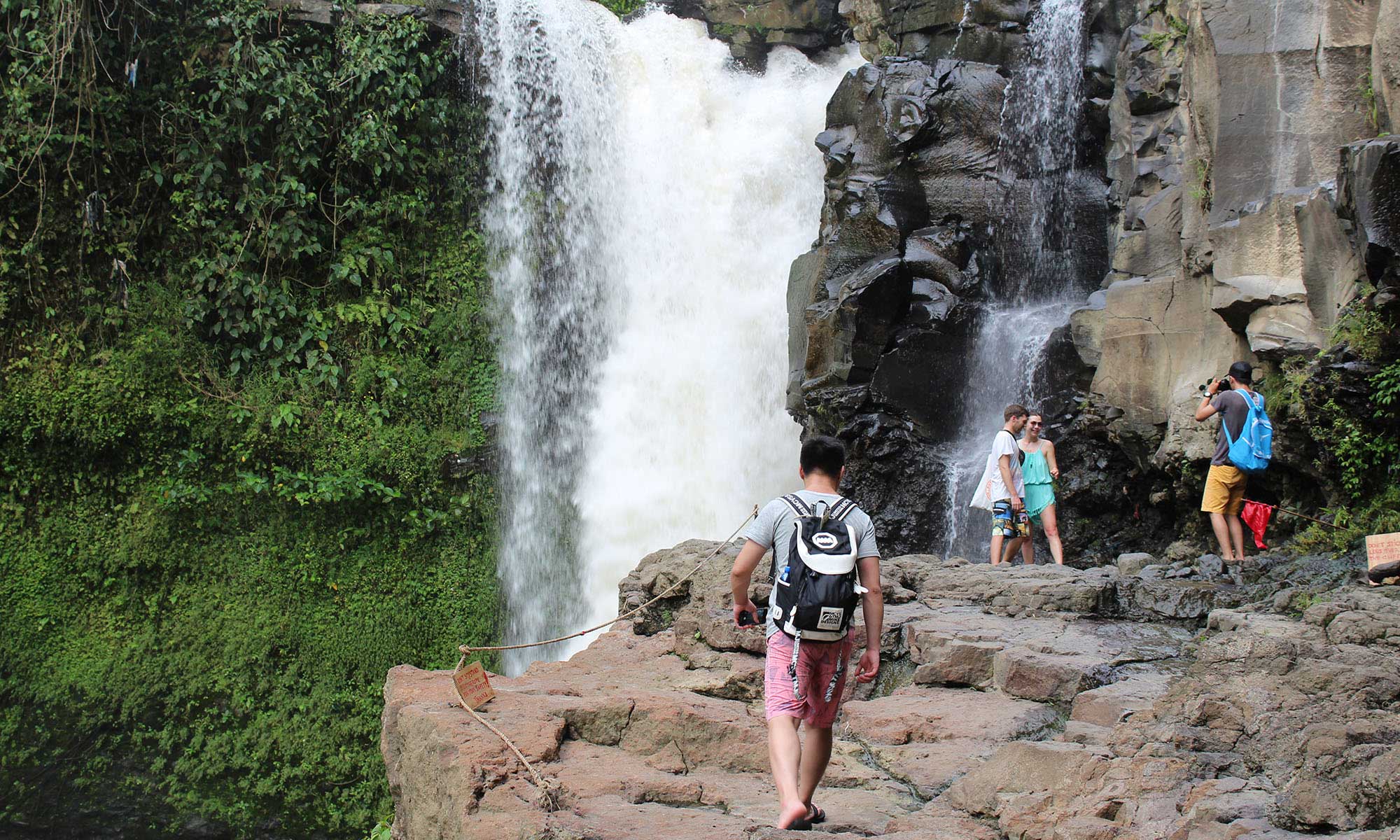 Best of Ubud : Monkey forest - Swing - Rice Terrace - Temple 