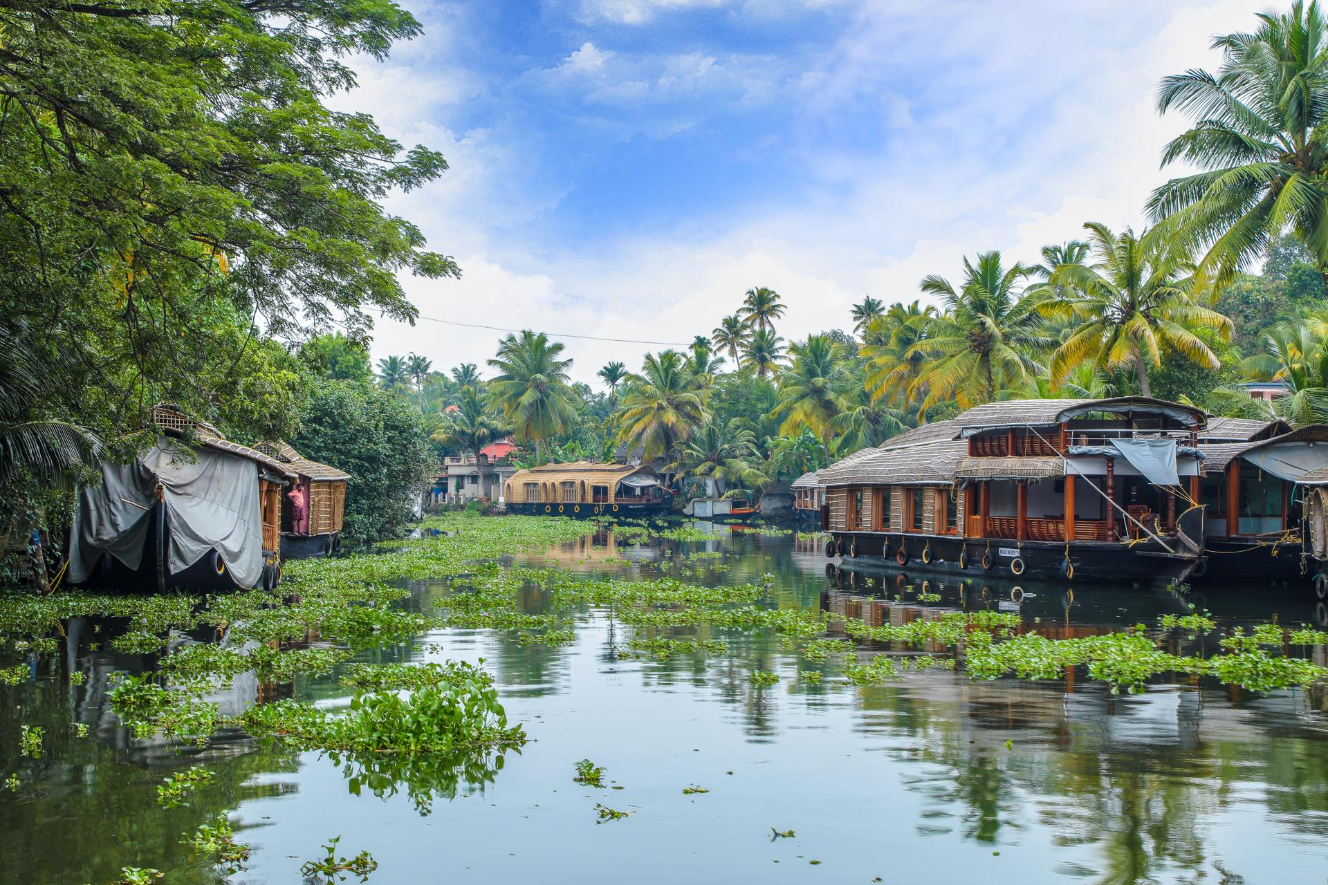 Descubriendo los tesoros de Kerala: jardines de té, remansos y serenidad junto al mar