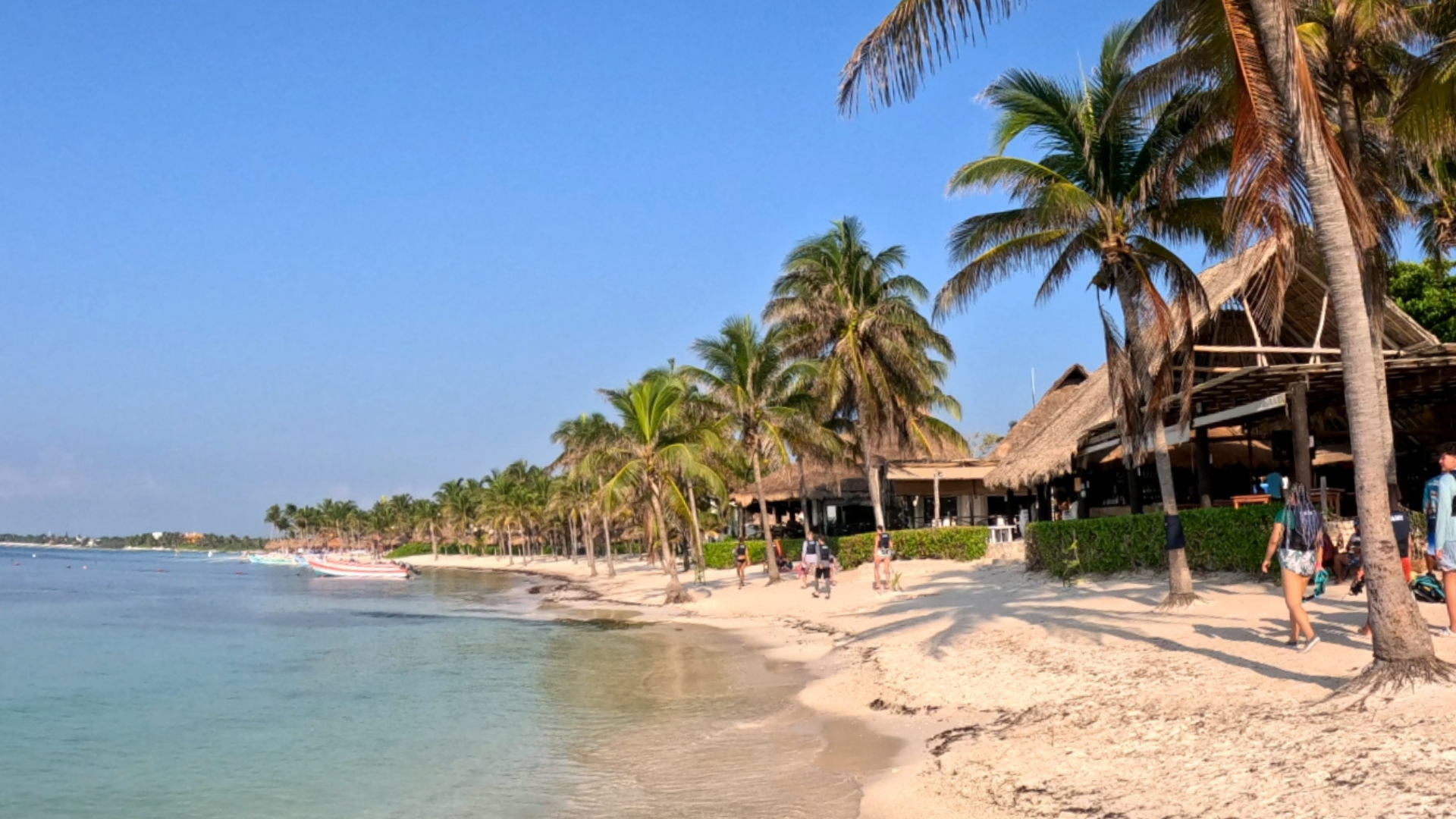 Desde Cancún: Tulum, cenote Mariposa y nada con tortugas en Akumal — 8/15