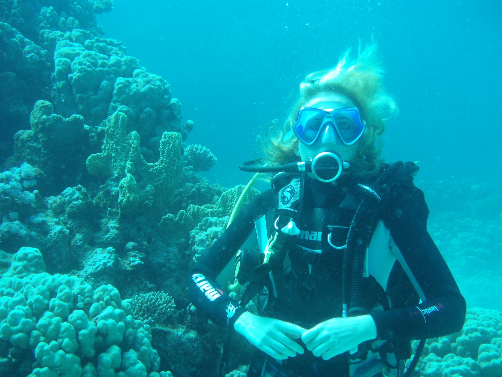 Buceo