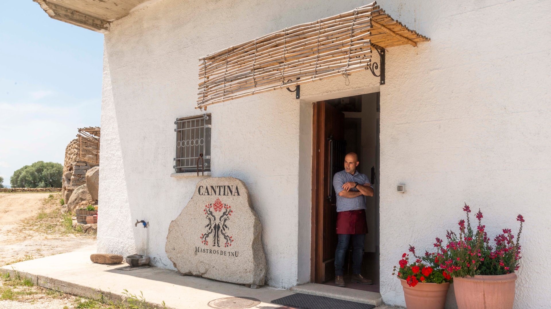 Dorgali: visit of a winery with tasting - Photo 28