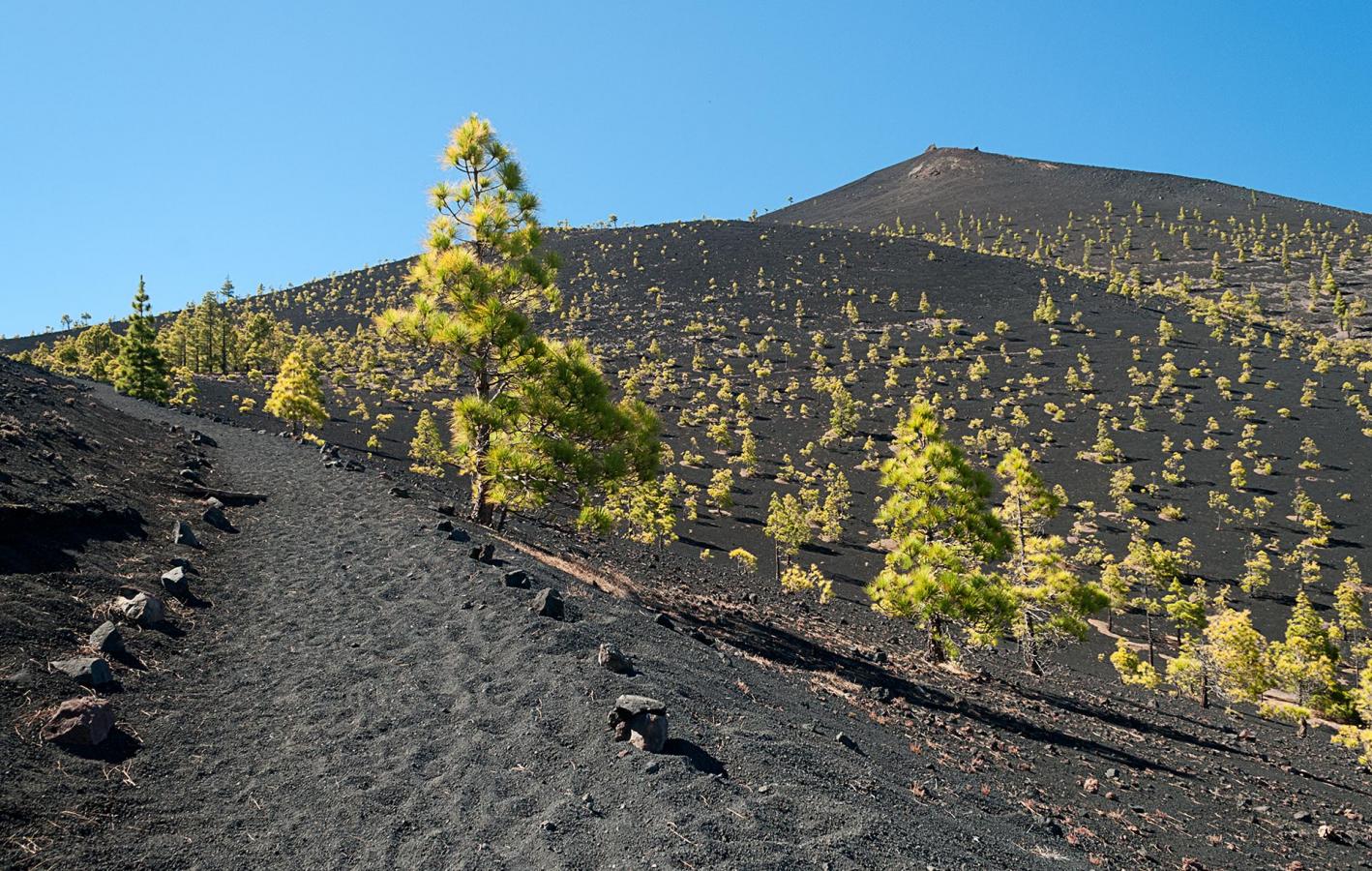 Caminata, bicicleta y navegación en Canarias - Foto 5