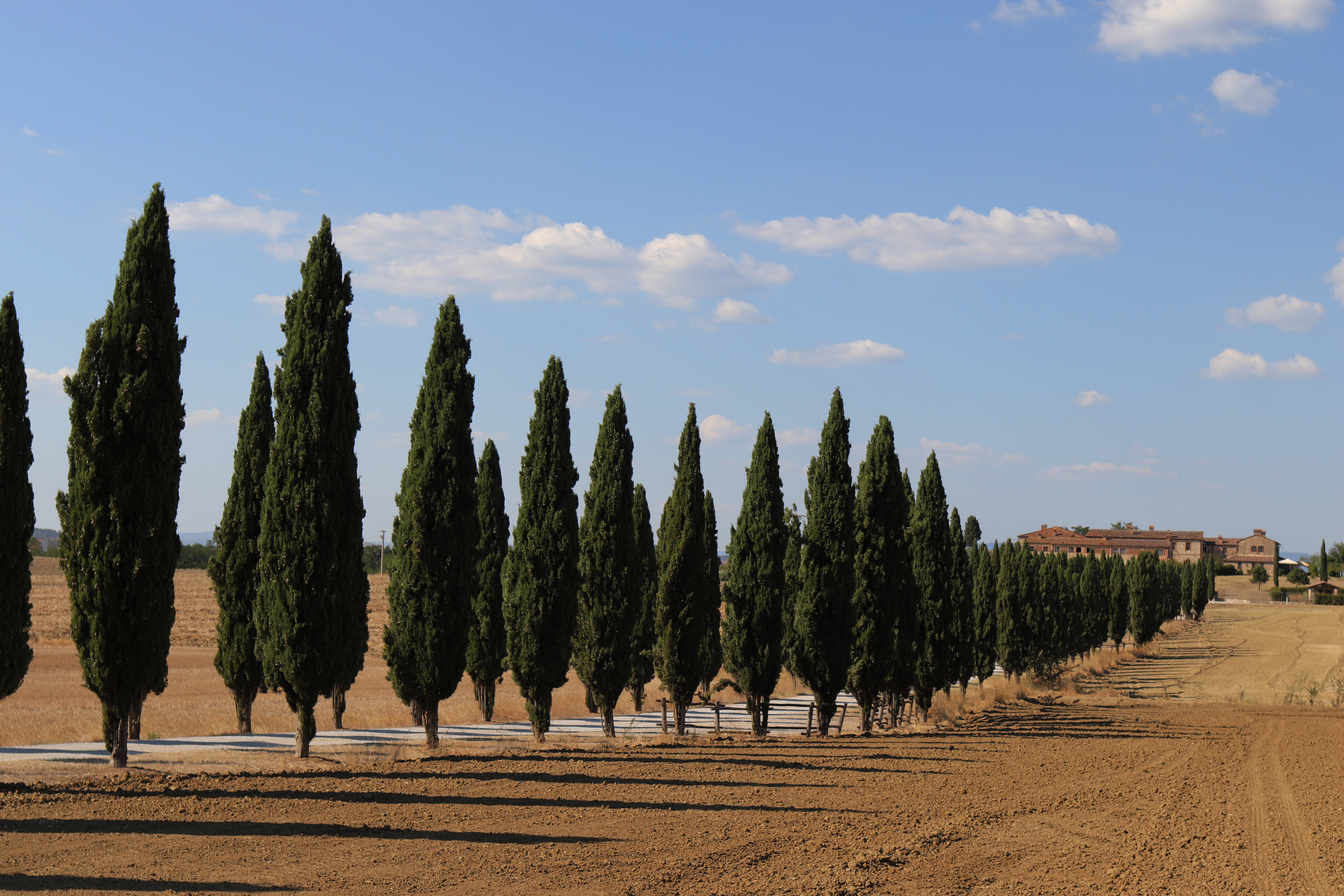 Private Tour: Val d’Orcia in Style, with Winery Lunch & Scenic Views - Photo 3