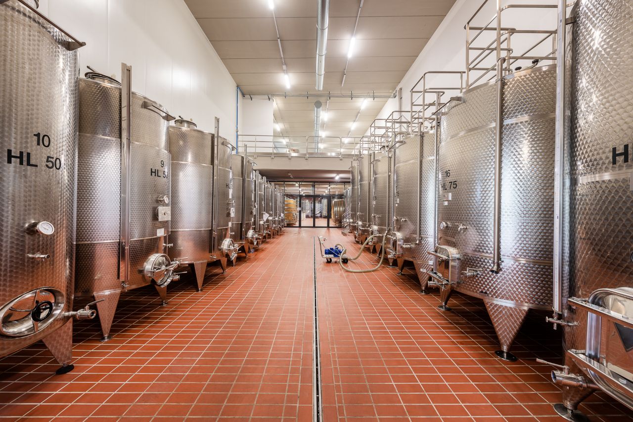 Il Monsù: A Journey through Nebbiolo, Barbaresco, and Barolo - Photo 12