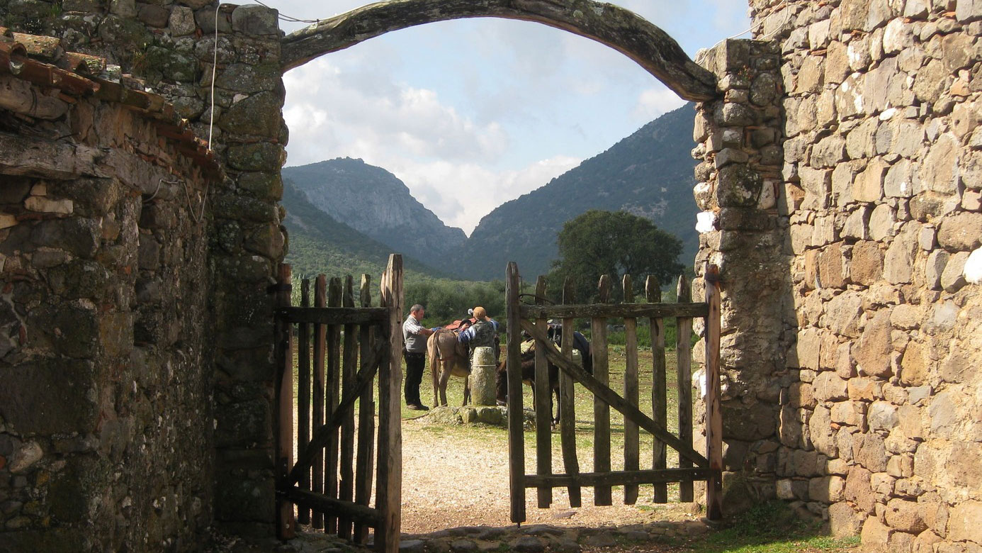 From Dorgali: 3-day donkey trekking in the Gulf of Orosei - Photo 11