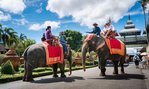 PATTAYA Únase al tour Jardín Nong Nooch-Cultura tailandesa-Espectáculo de elefantes - Foto 5