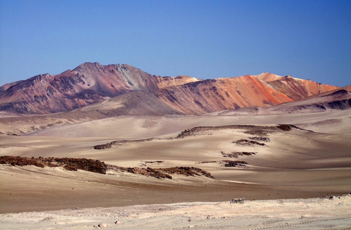 Man-06: Del desierto a los manglares - Aventura de día completo en Sechura - Foto 5