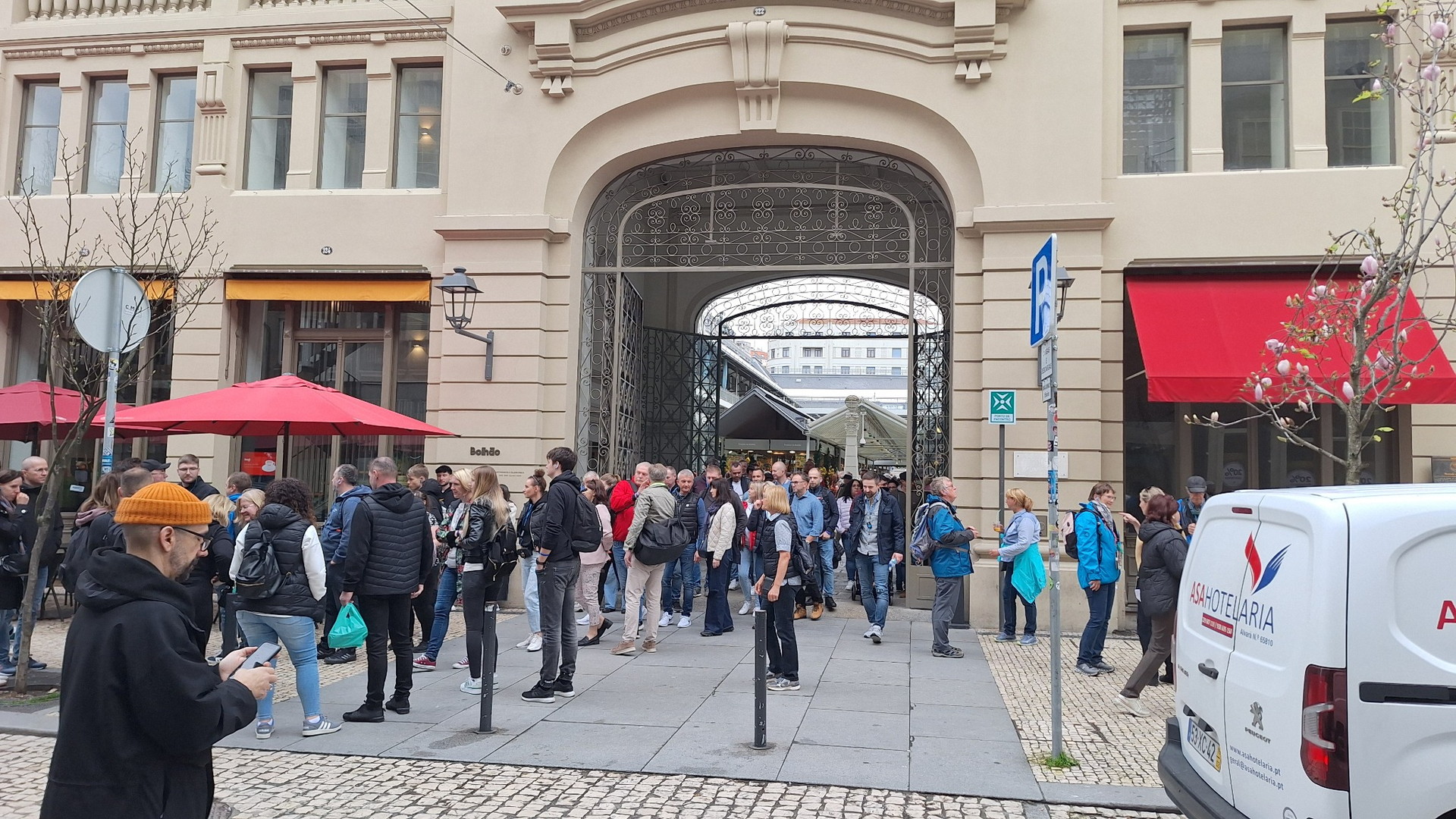 Private Porto Full-Day Tour: Cathedral, Lello and Wine Tastings - Photo 11