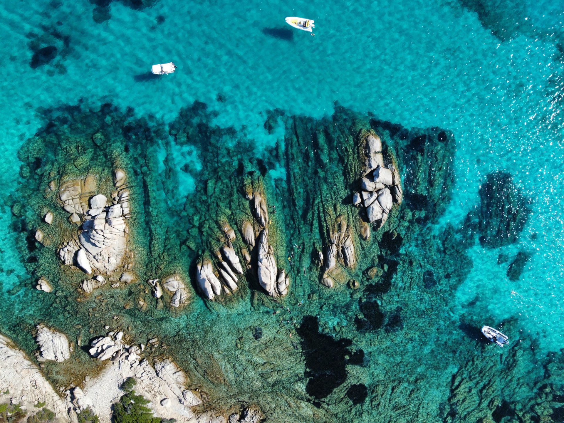 From Puntaldia or San Teodoro: snorkeling at the Molara Pools - Photo 3