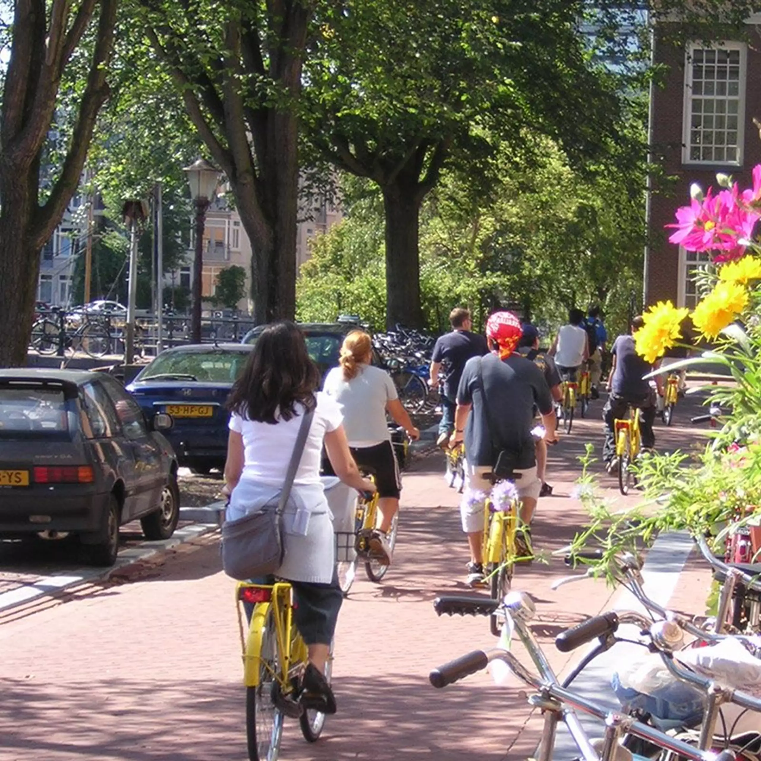 Amsterdam Bike Rental (4h/24h) - Discover city like a local - Photo 3