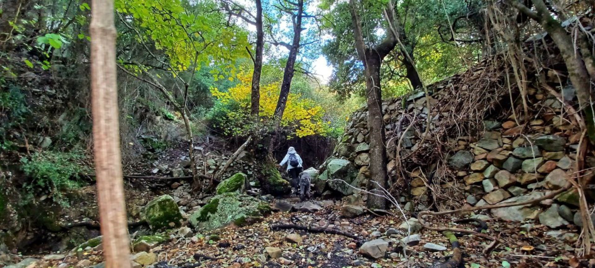 Castiadas: trekking in the S'Acqua Callenti forest - Photo 20
