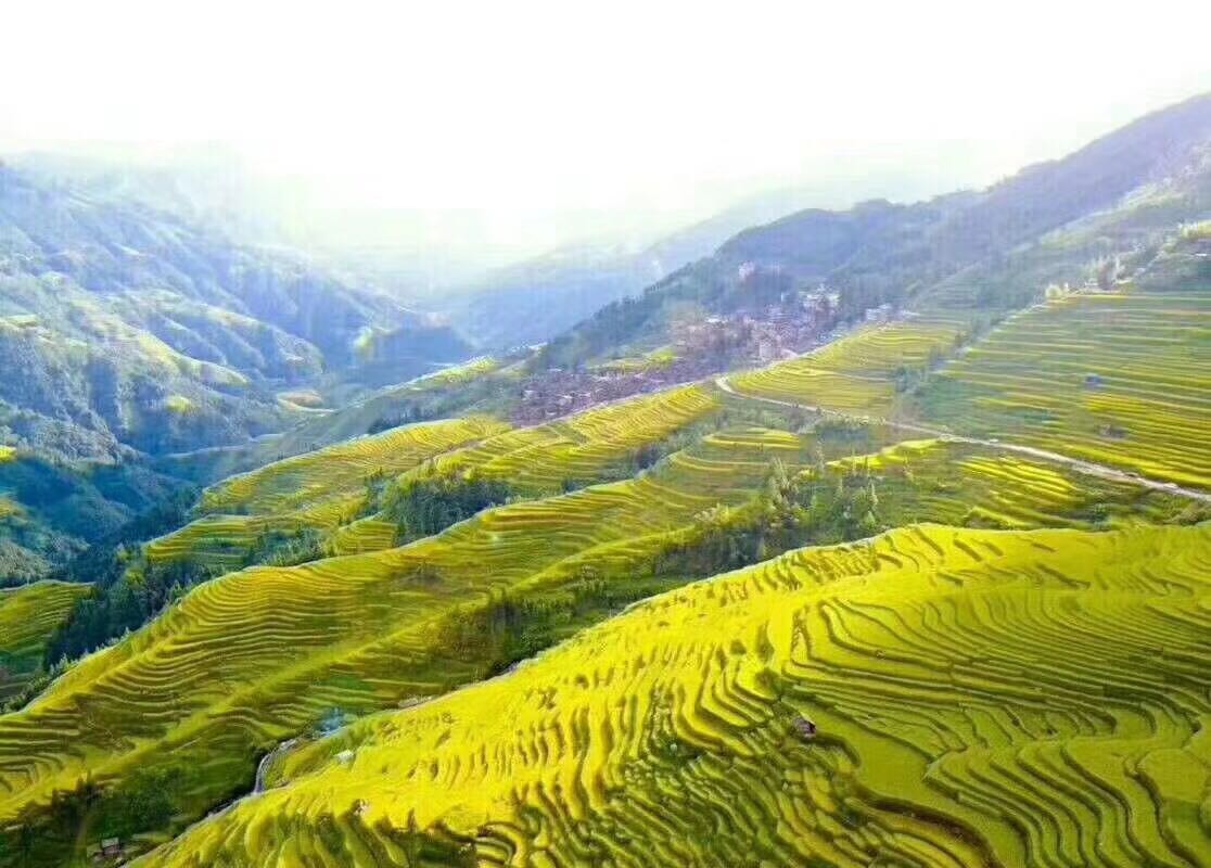 Excursión privada de un día a las terrazas de arroz de Longji desde Guilin