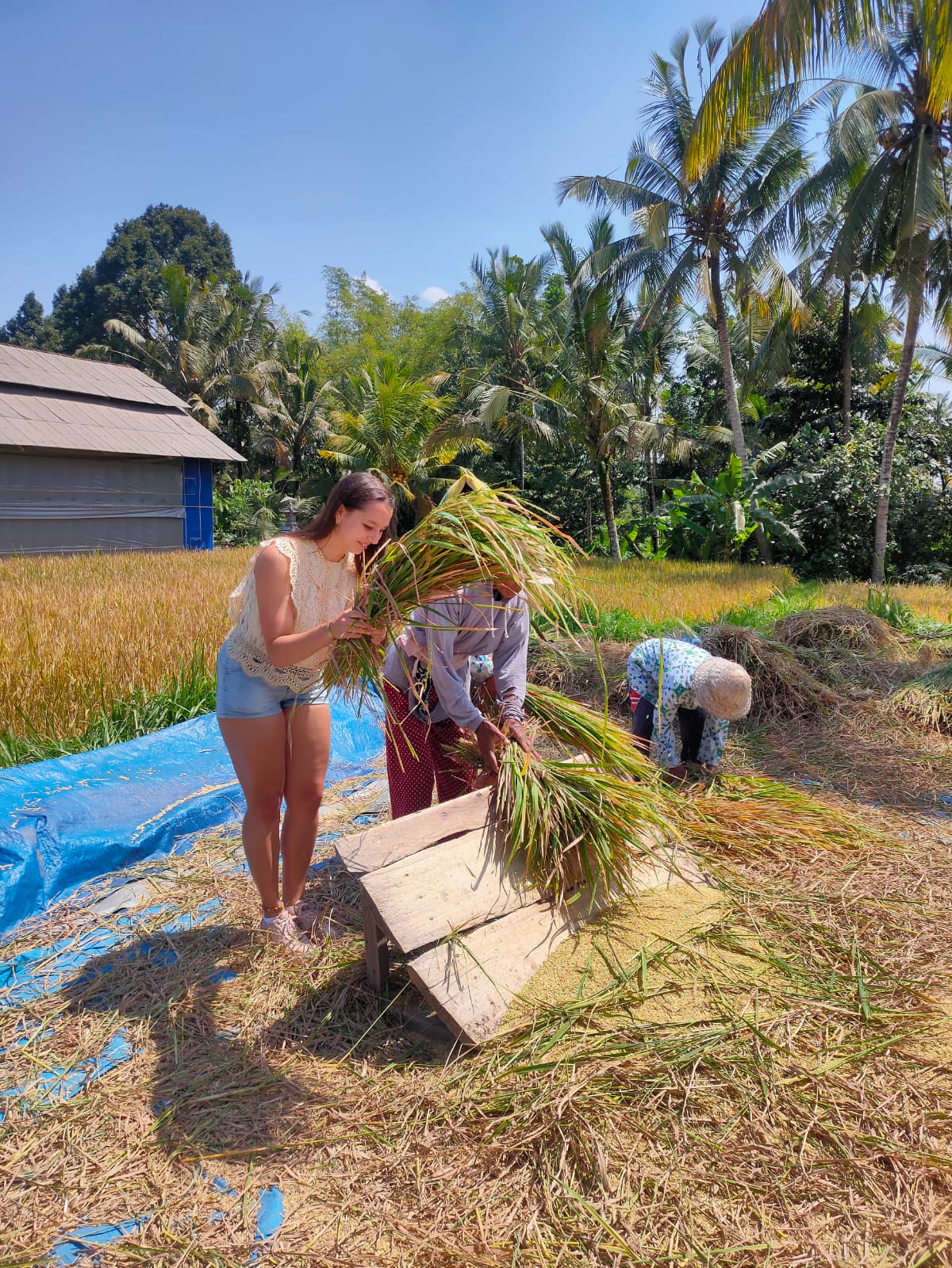 Tour rural en bicicleta por Bali que incluye recogida en el hotel