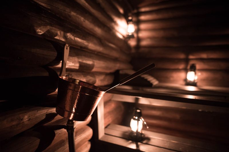 The Best of Lapland : Sauna, ice swimming, Dinner & Northern Lights – Image 2 | WeShare