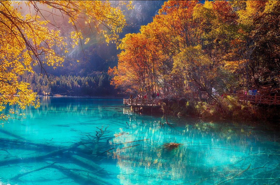 Jiuzhaigou Valley Tickets with Sightseeing Bus & Round-Trip Shuttle Access