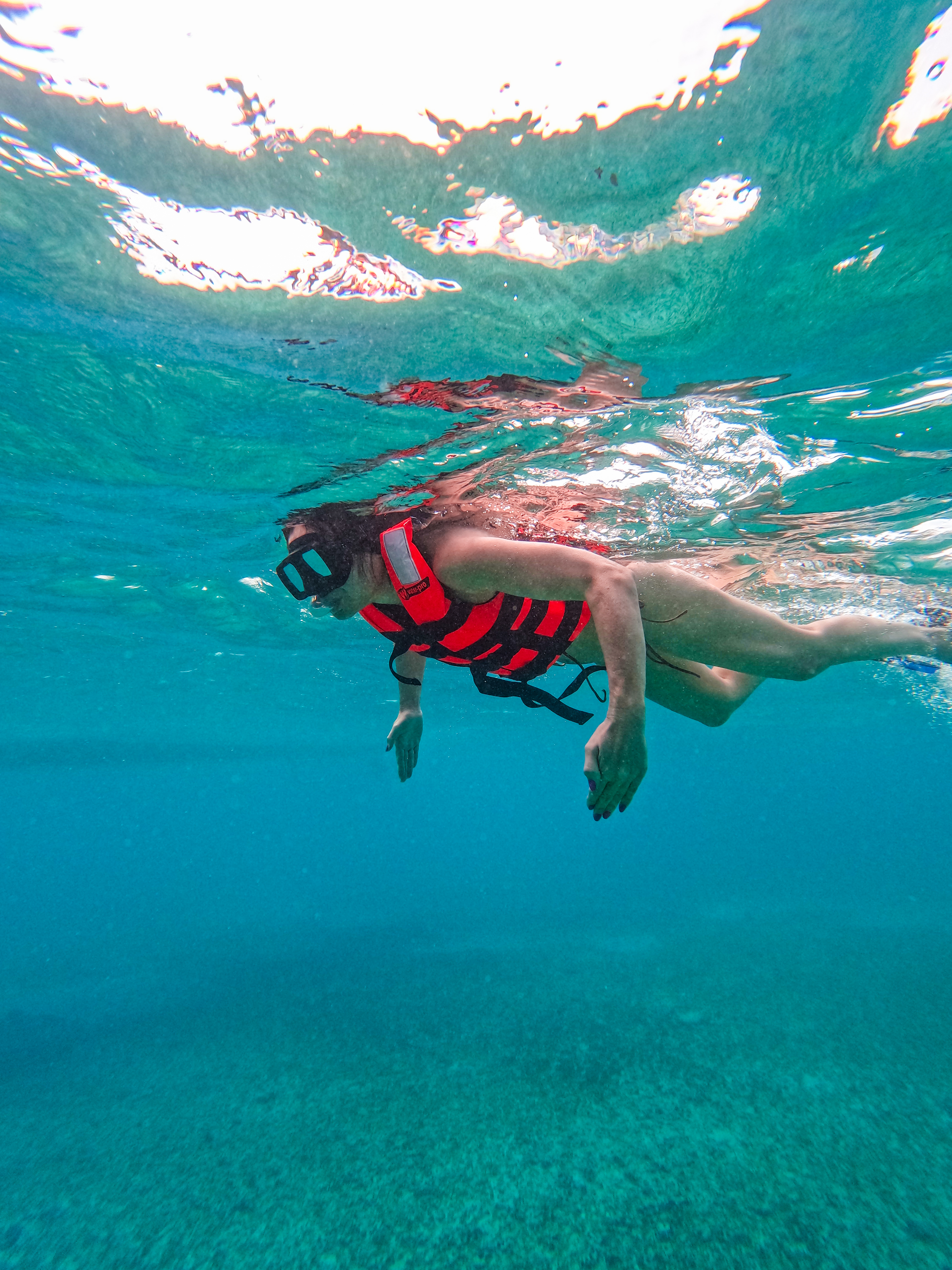 1.5 hours Snorkeling at Tulum's paradise reef — 52/92
