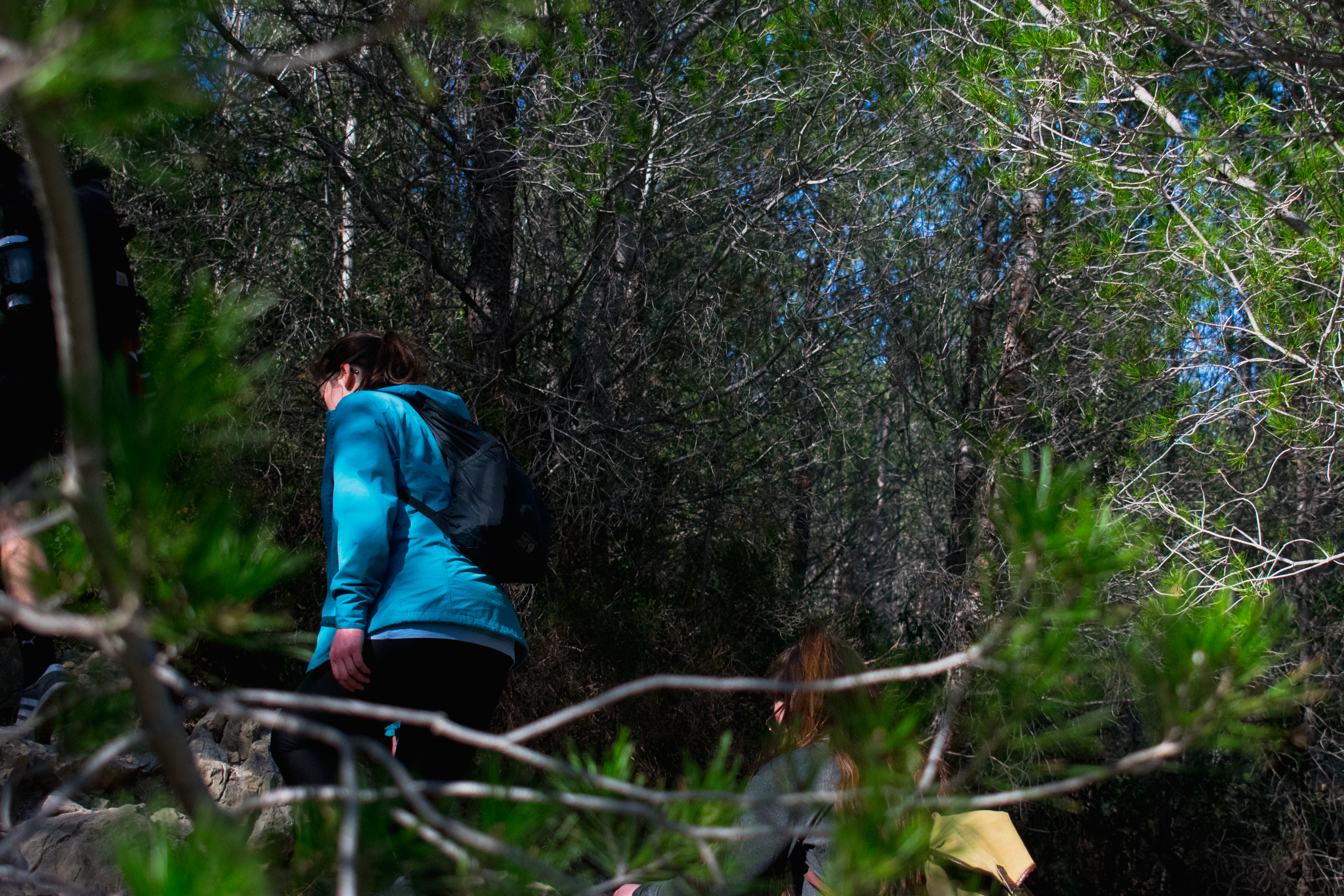 Hiking in the Calanques national park from Luminy  - Photo 5
