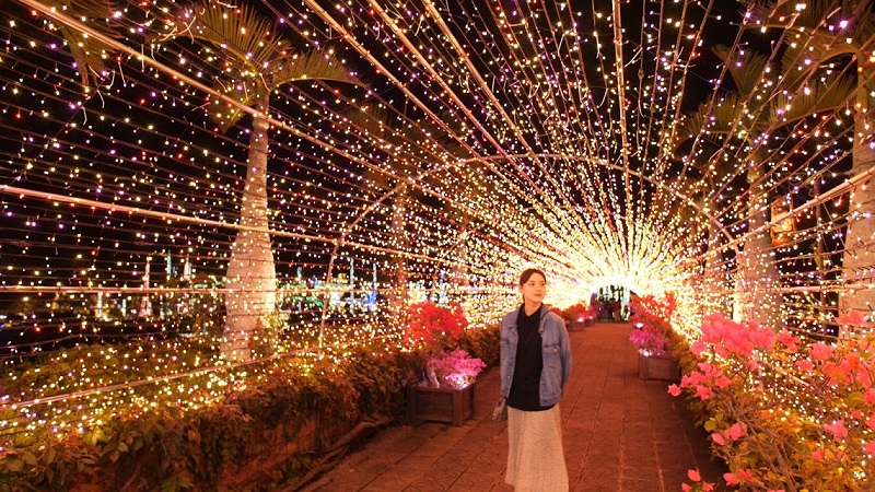 沖縄最大のイルミネーション東南植物楽園入場券 Jj Activity