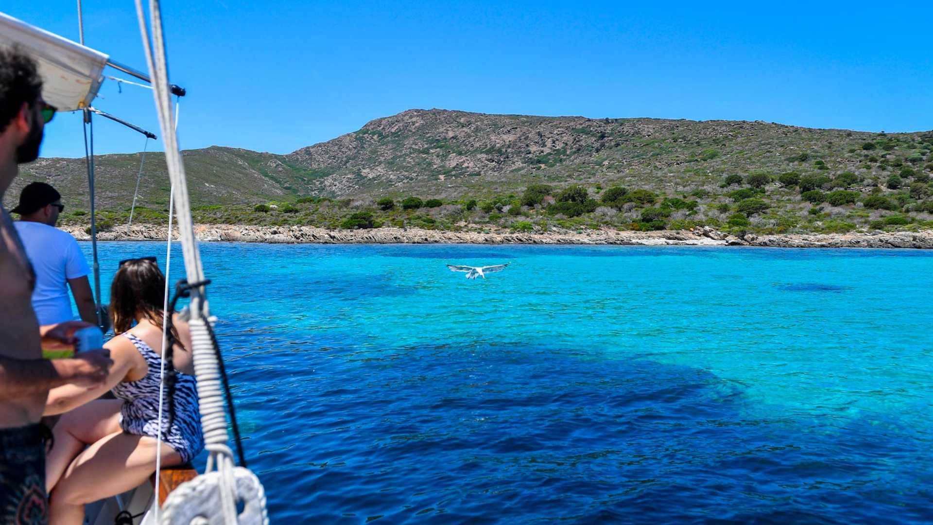 From Stintino: sailing trip to Asinara - Photo 19