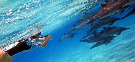Special Sataya Reef Gradens Snorkeling Day Trip