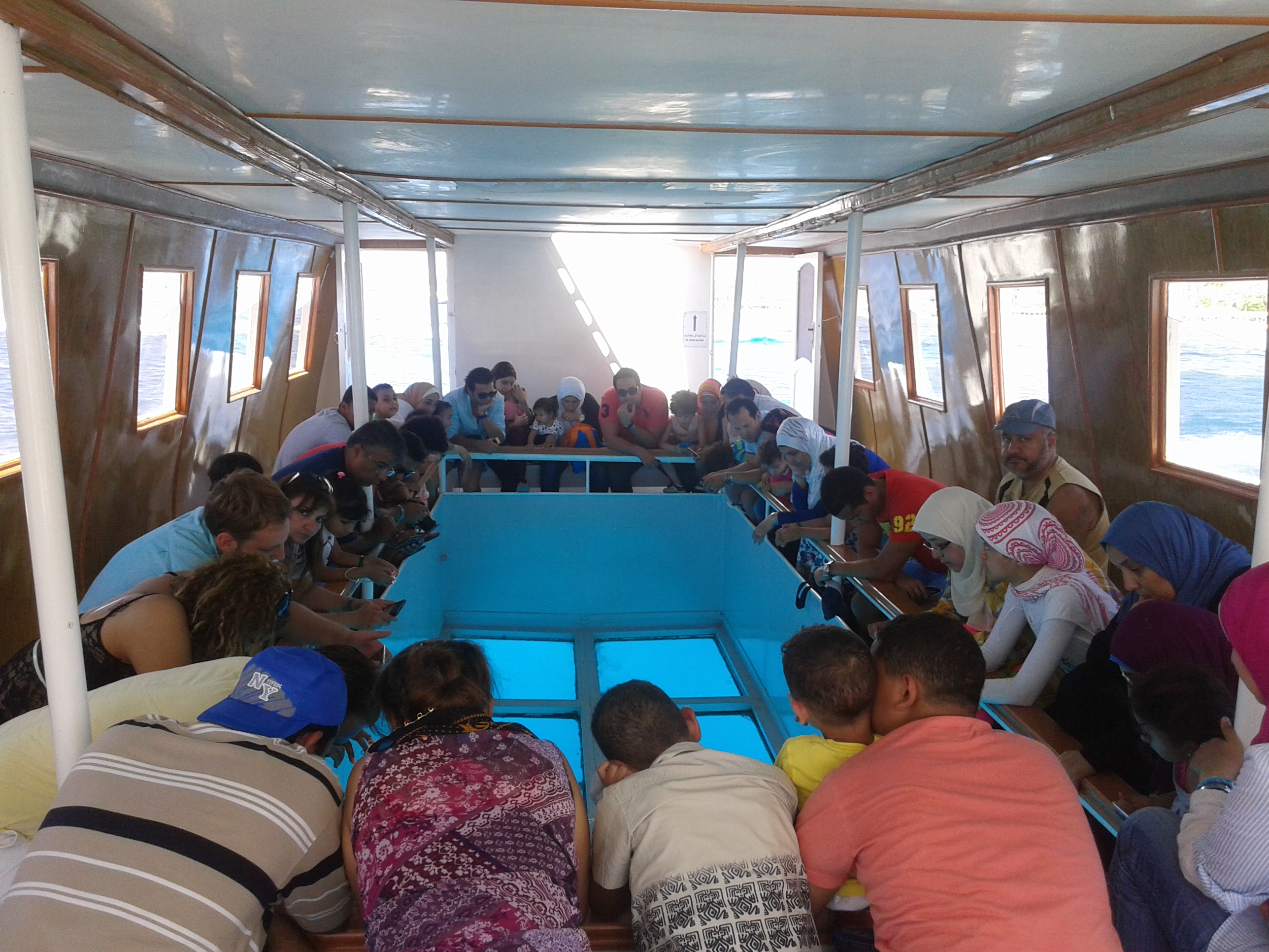 Tour en barco con fondo de cristal: explore las maravillas del Mar Rojo "Tour familiar" - Foto 4