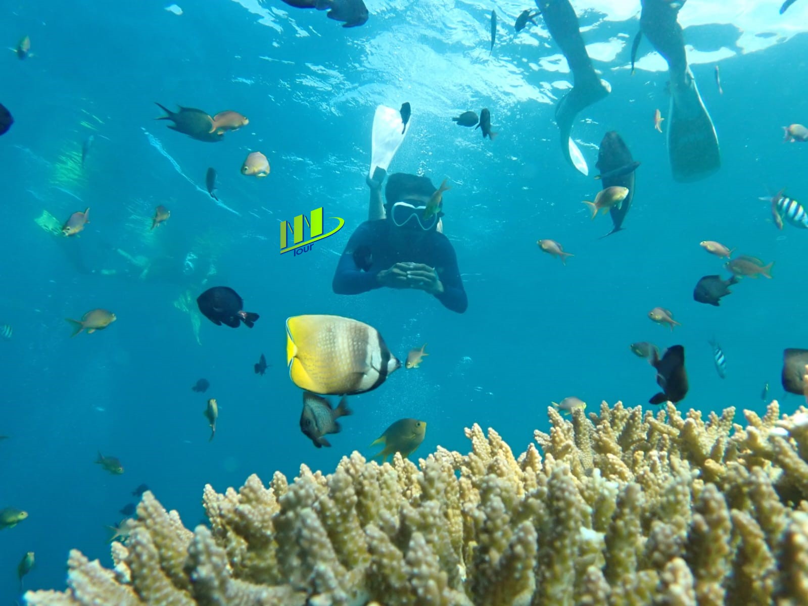 Tulamben Snorkel en USAT Liberty Shipwreck Karangasem Bali - Foto 3