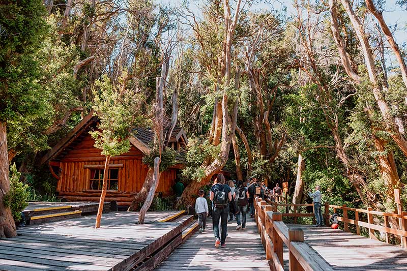 Isla Victoria y Bosque de Arrayanes - Foto 5