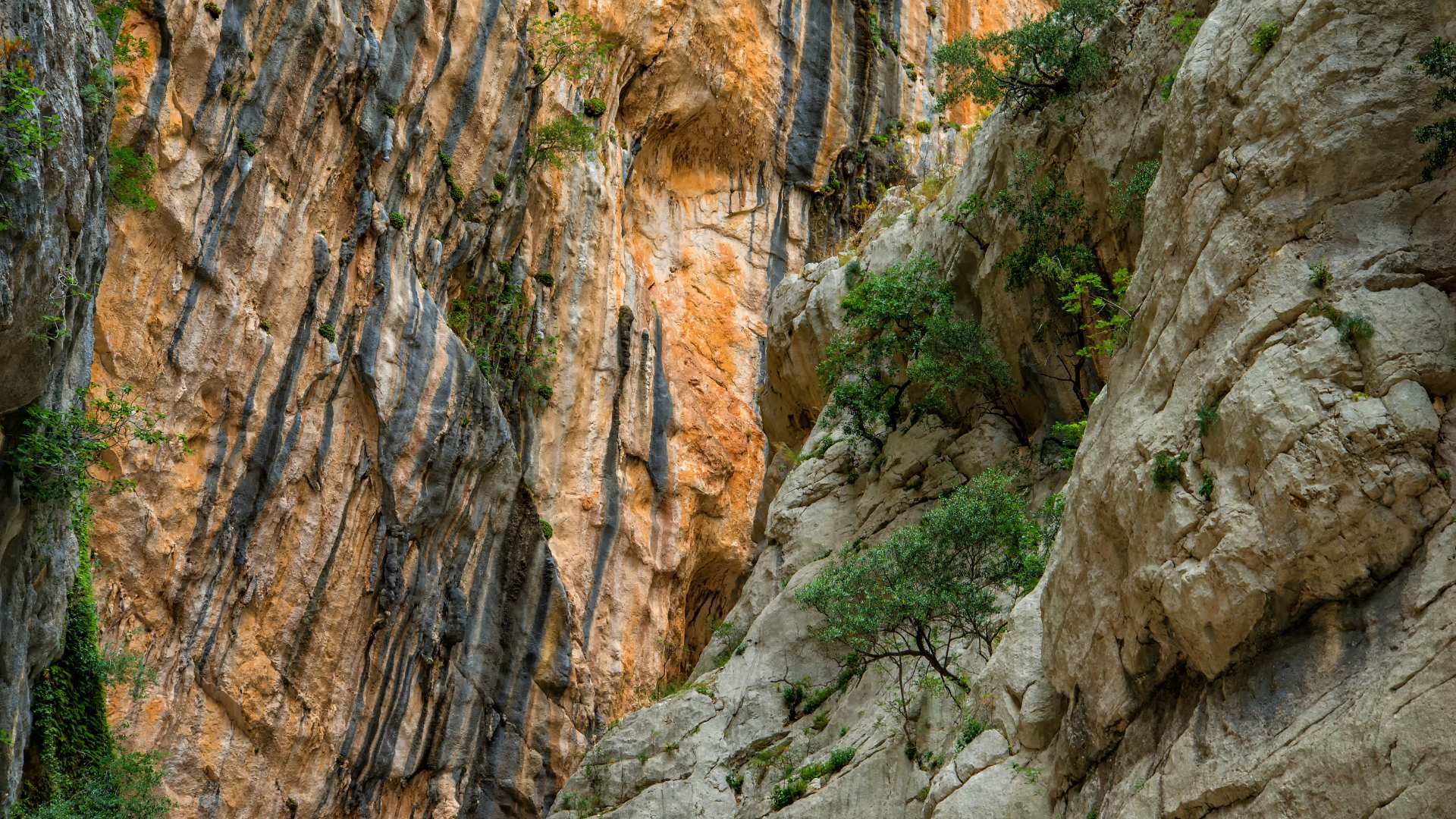 From Cala Gonone: trekking in the Gorropu canyon with transfer - Photo 8