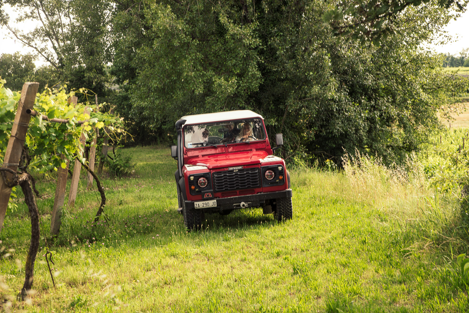 4x4 Vineyard Tour with WineTasting Experience - Photo 15