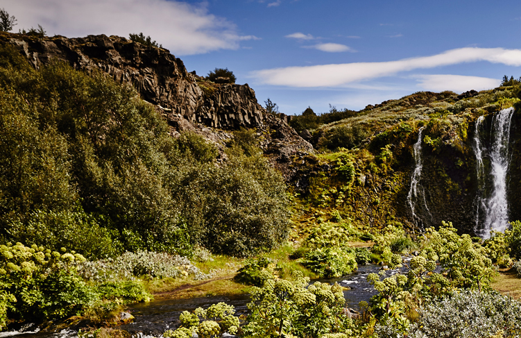 Paradise Valley & Highlands | Private Tour – photo 2